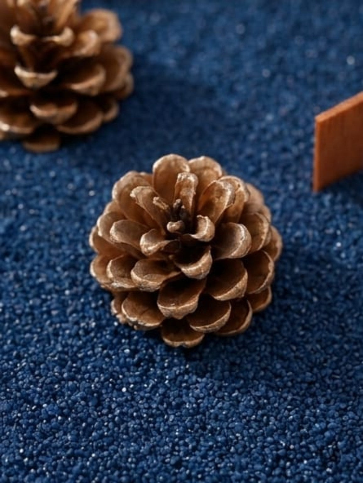 Close-up sand wax and decorative pine cone SC02